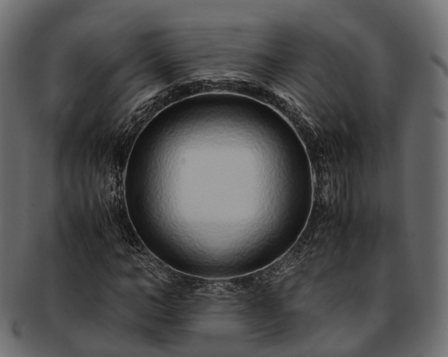 X0000093230966200710031455