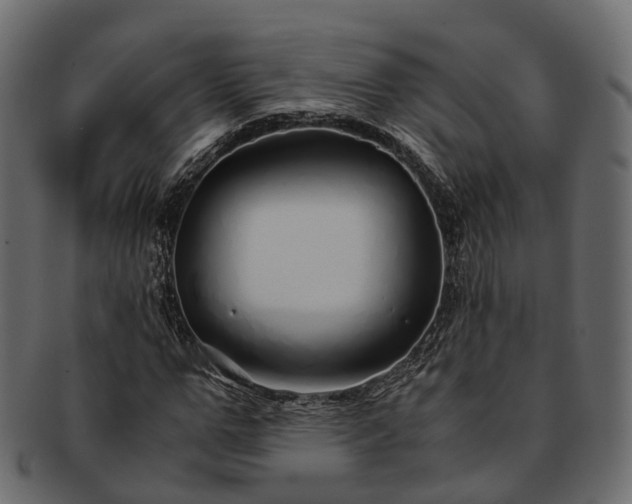 X0000093230967200710031455