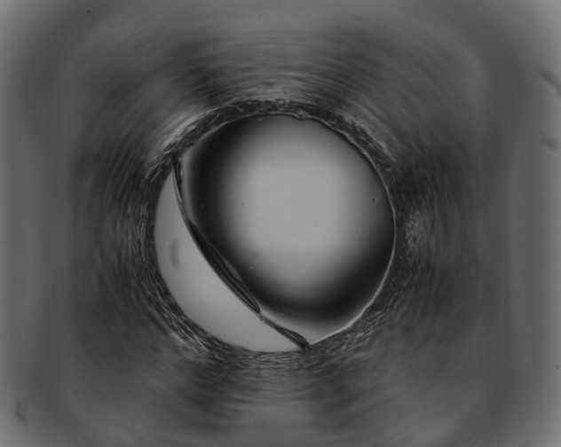 X0000093230968200710031455