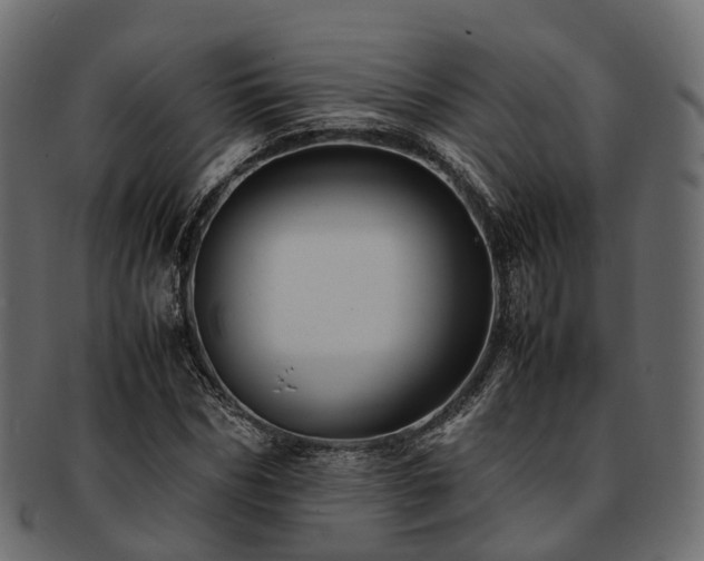 X0000093230970200710031455