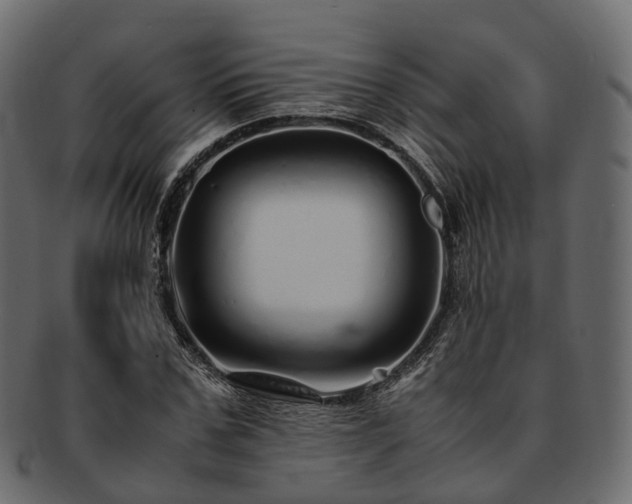 X0000093230971200710031455