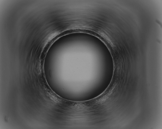 X0000093230974200710031455