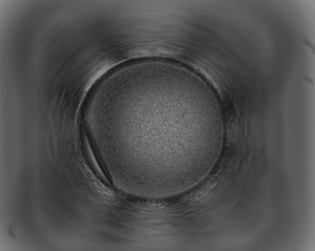 X0000093230975200710031455