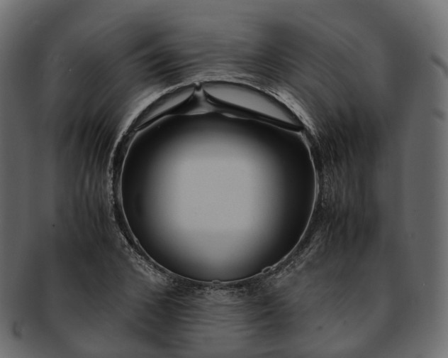 X0000093230976200710031455