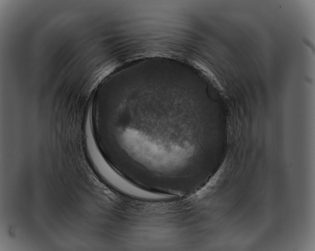 X0000093230977200710031455