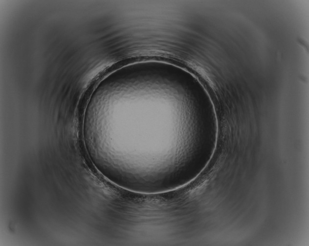 X0000093230979200710031455