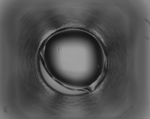 X0000093230981200710031455