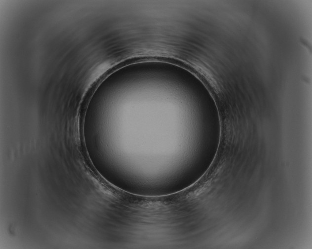 X0000093230982200710031455