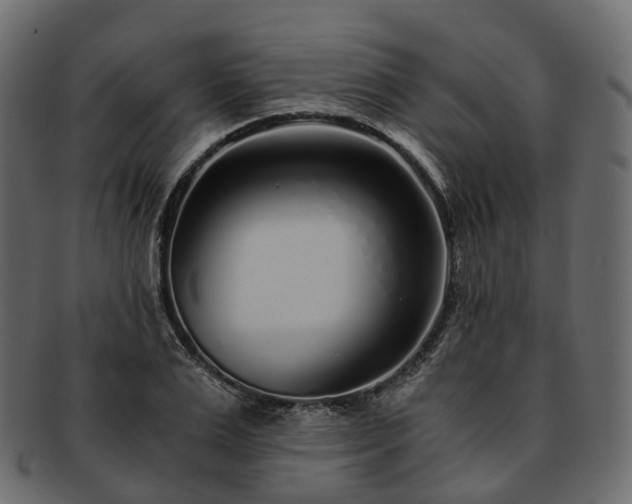 X0000093230983200710031455