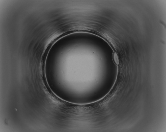 X0000093230987200710031455