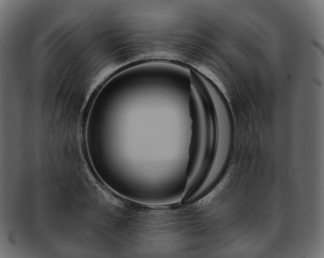 X0000093230989200710031455