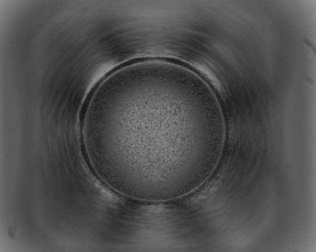 X0000093230990200710031455