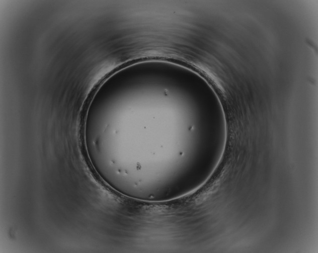 X0000093230991200710031455