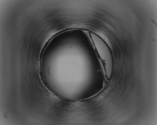 X0000093230992200710031455