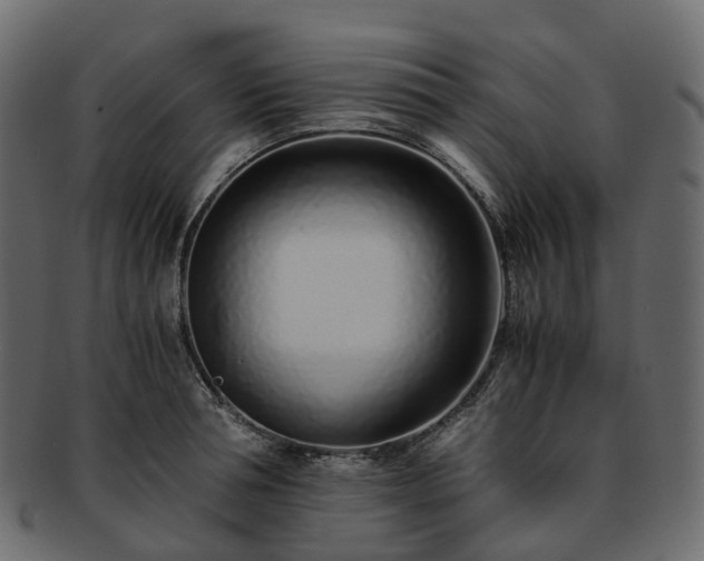 X0000093230994200710031455