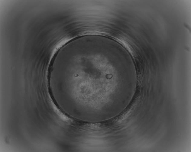 X0000093230995200710031455