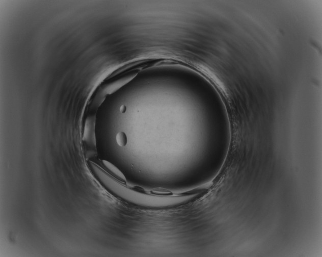 X0000093230996200710031455