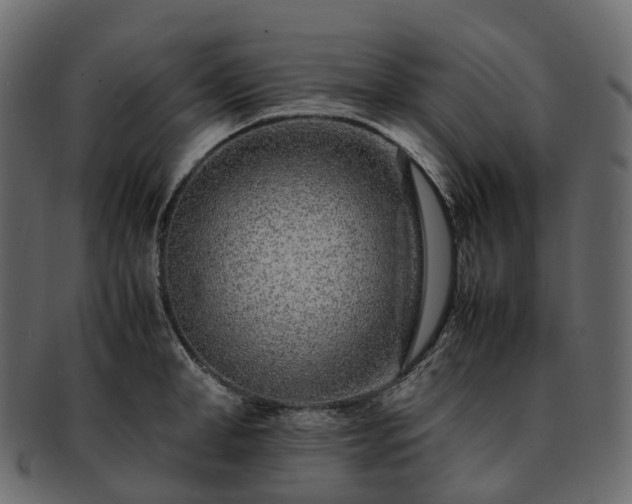 X0000093230998200710031455