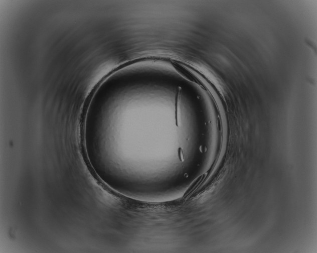 X0000093230999200710031455