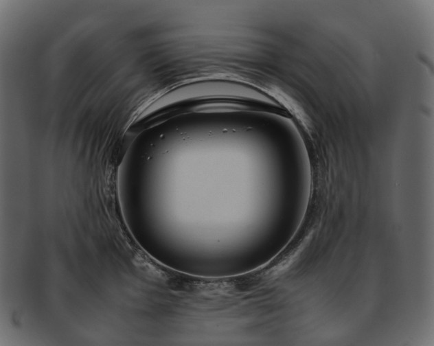 X0000093231001200710031455