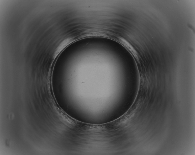 X0000093231002200710031455