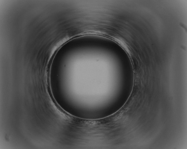 X0000093231003200710031455