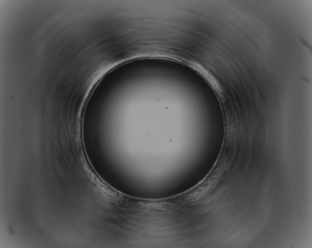 X0000093231004200710031455