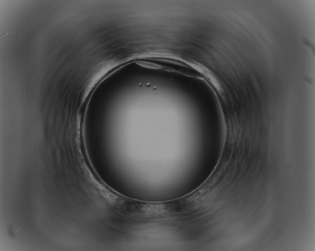 X0000093231006200710031455