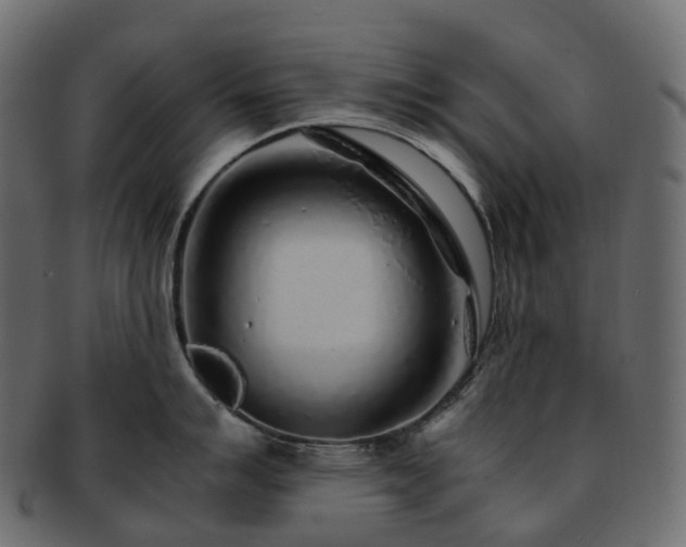 X0000093231007200710031455