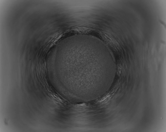 X0000093231010200710031454