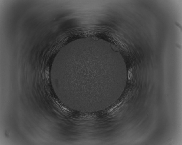 X0000093231011200710031454