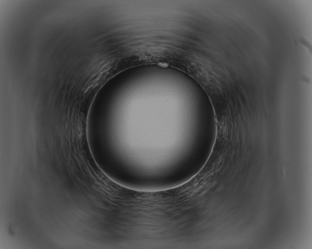 X0000093231012200710031454