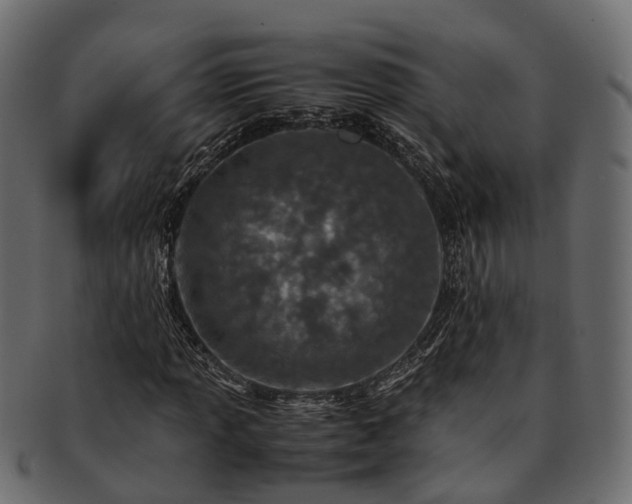 X0000093231013200710031454