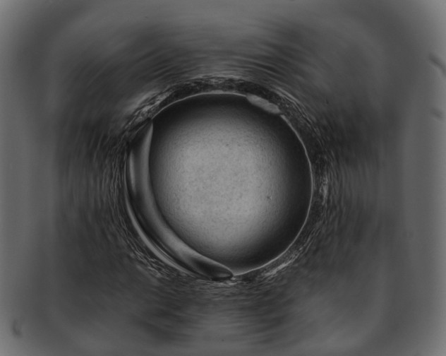 X0000093231014200710031454