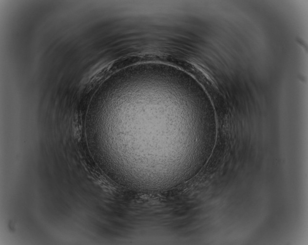 X0000093231015200710031454