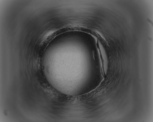 X0000093231016200710031454