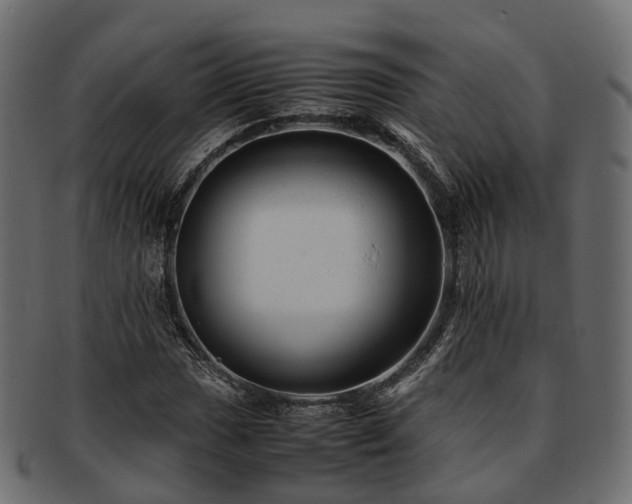 X0000093231017200710031454