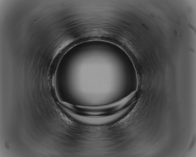 X0000093231018200710031454