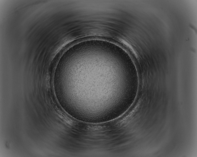 X0000093231019200710031454