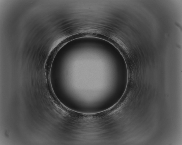 X0000093231022200710031454