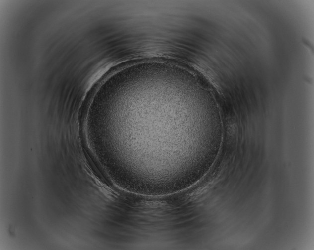 X0000093231023200710031454