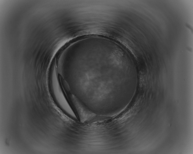 X0000093231024200710031454