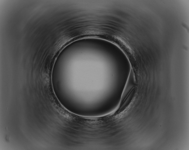 X0000093231025200710031454