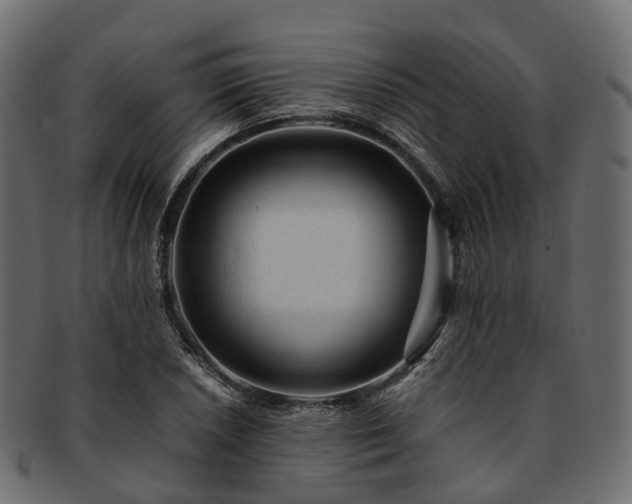 X0000093231026200710031454