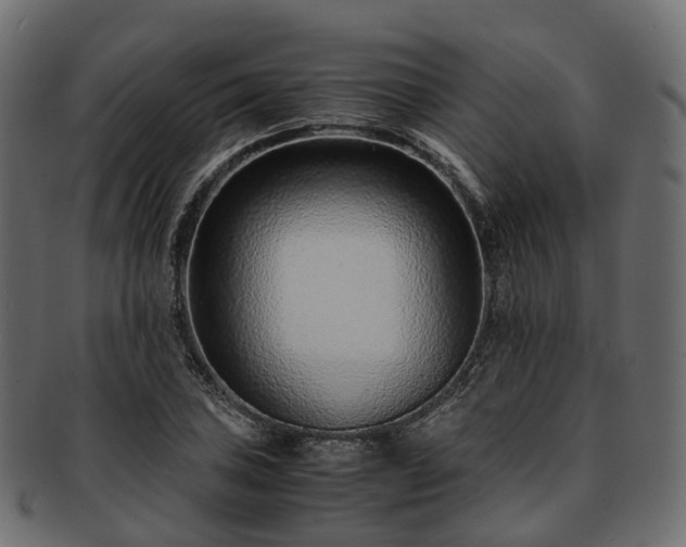 X0000093231027200710031454