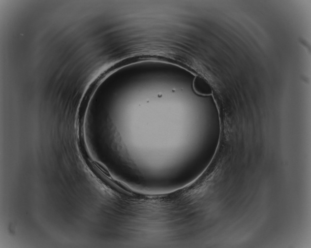 X0000093231028200710031454