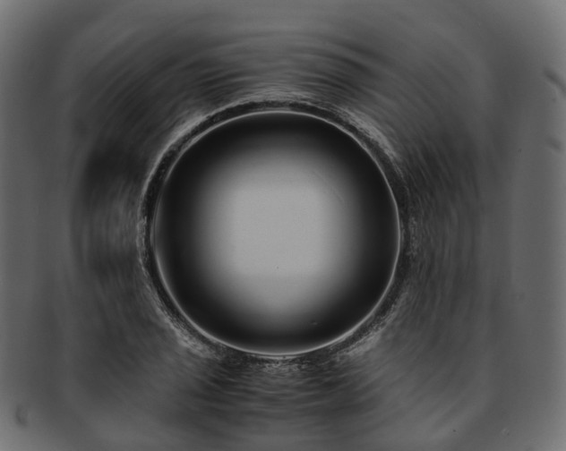 X0000093231029200710031454