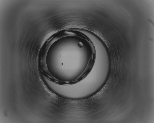 X0000093231030200710031454