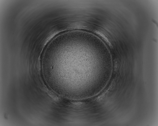 X0000093231031200710031454