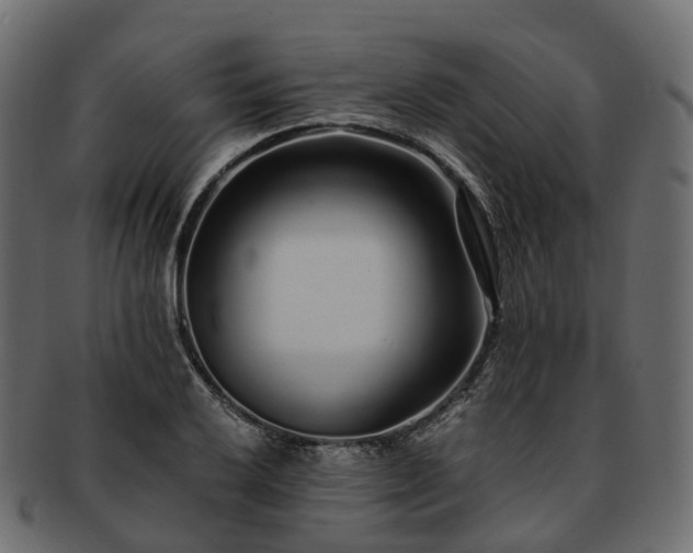 X0000093231032200710031454